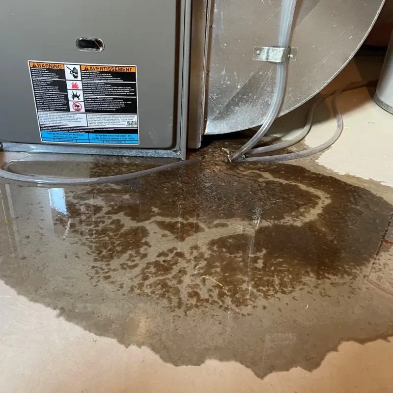 Appliance Leak Cleanup in Mitchell, IN